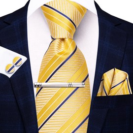Hi-Tie Classic Mens Silk Ties Set 4 PCS Necktie Pocket Square Cufflinks Clip Pin Solid Strip Paisley Tie,Yellow Blue