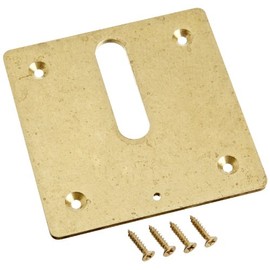 Zodiac MJ6370 Cover Plate Screw Replacement for MiniJet Water Designs, Brass