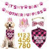 Dog Birthday Party Supplies Girl, Dog Birthday Bandana Hat Bow
