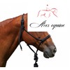 Aces Equine Horse Rope horse Halters Headcollars With Lead 4