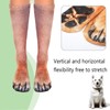 Novelty Dog Paw Socks for Men and Women - Funny