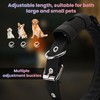 BDGFG Light-up Dog Collar with LED Light, Waterproof, Rechargeable, Remote