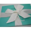 Tiffany & Co. Jewelry Cleaner Polishing Cloth