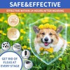 Dog Flea and Tick Collar 4 Pack, Waterproof Adjustable Collar