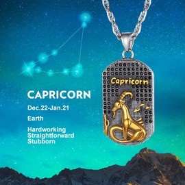 Stainless Steel Capricorn Zodiac Necklace Star Sign Constellation Horoscope Pendant with Chain Dog Tag Jewelry