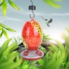 Hummingbirds Water Feeder Colorful Painting Glass Bird Feeding Tool for