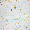 Small Circle Confetti for Party Decor 10mm - Pack of