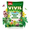 VIVIL Herbal Mint with 23 Herbs, 5 Bags, Cough Drops