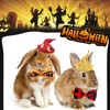 4 Pack Halloween Hamster Costume Small Animal Clothes Funny Witch