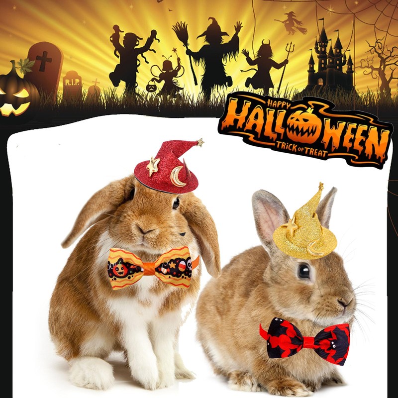 4 Pack Halloween Hamster Costume Small Animal Clothes Funny Witch