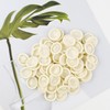 100 Pcs Finger Cots Disposable Latex Finger Protector Fingertips Protectors