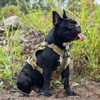 OneTigris Fire Watcher Tactical Dog Harness, MOLLE Safety Harness, Service