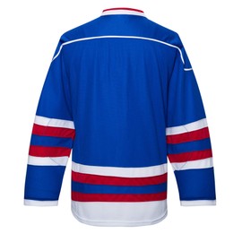 EALER H900 Series Ice Hockey League Team Color Blank Practice Jersey & Thick, Breathable and Quick-Dry High Strength Fabric&Unisex Junior to Senior