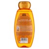 Garnier Whole Blends Illuminating Shampoo - With Moroccan Argan &