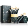 EIGSHOW Juego de brochas de maquillaje profesional de 18 piezas