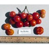 30 Dwarf Red Robin Tomato Seeds, Heirloom Non-GMO, Sweet, Low