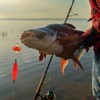 MiOYOOW Catfish Float Rigs, 3Pcs Rattler Tackle Floats Luminous Double