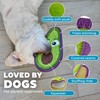 Outward Hound Tough Skinz Durable Squeaky Dog Toy with Two