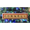 Cornell Christmas Ornament Letters Tiles Craft