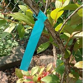 1000 Wrap Around Tree Labels 9" x 1" Thermal Plastic Tree Tags Plant Labels, Printable by Dmarketline (Blue)