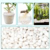 Rahato 10 lbs Small White Rocks for Planters, 3/8" White