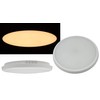 ChiliTec LED Ceiling Light with Motion Sensor 26 cm IP54