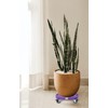 Heavy Duty Purple Plant Caddy with Wheels, 15-20inch Adjustable Rolling