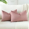 JOTOM Set of 2 Velvet Soft Solid Cushion Covers 30x50