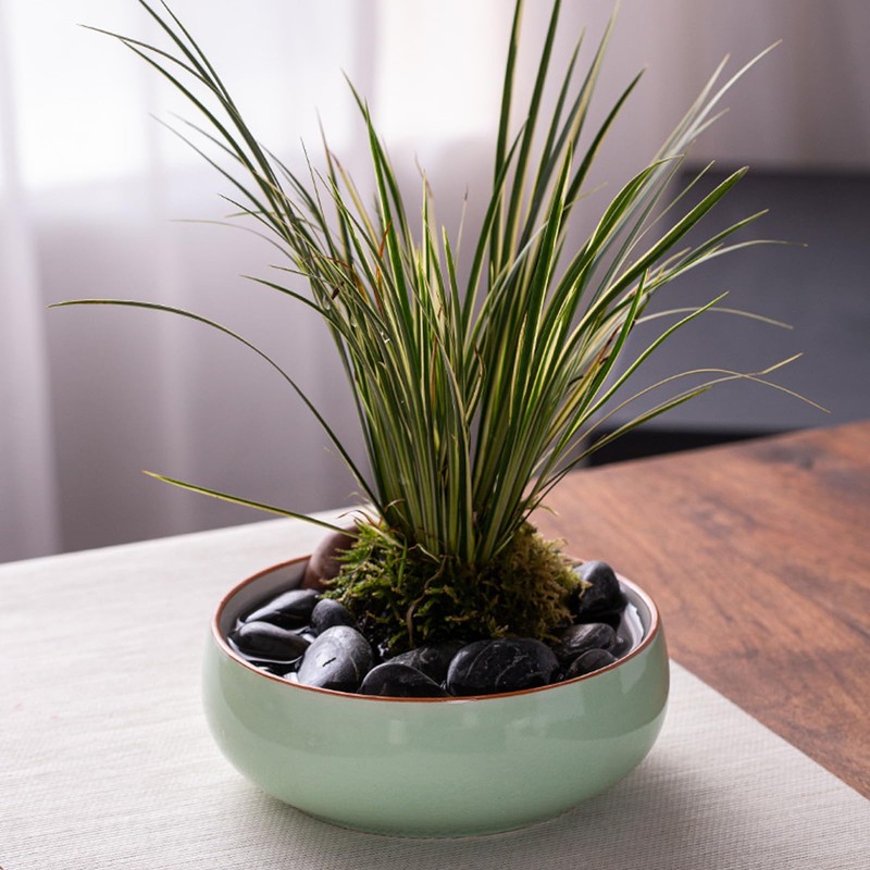 XUANDOH Lotus Bowl Planter, Bowl Lotus Planter Flower Pots, Lotus