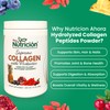 PASOS DE NUTRICION Nutricion Ahora Hydrolyzed Collagen Peptides Powder, 12.7