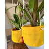 Caldo Two Plant Hangers - Perfect for Indoor or Outdoor