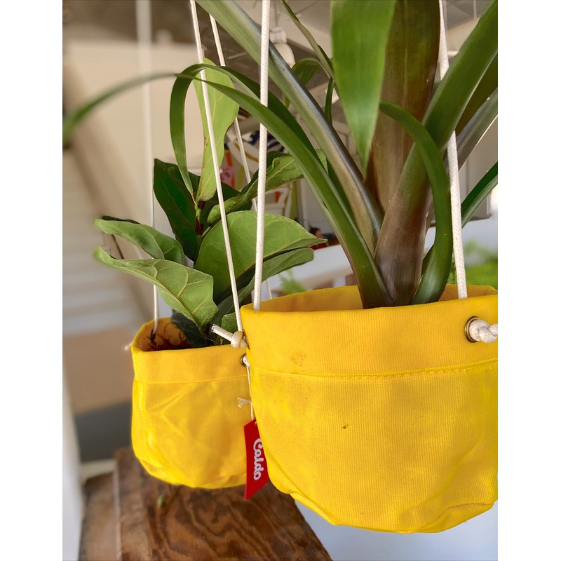 Caldo Two Plant Hangers - Perfect for Indoor or Outdoor