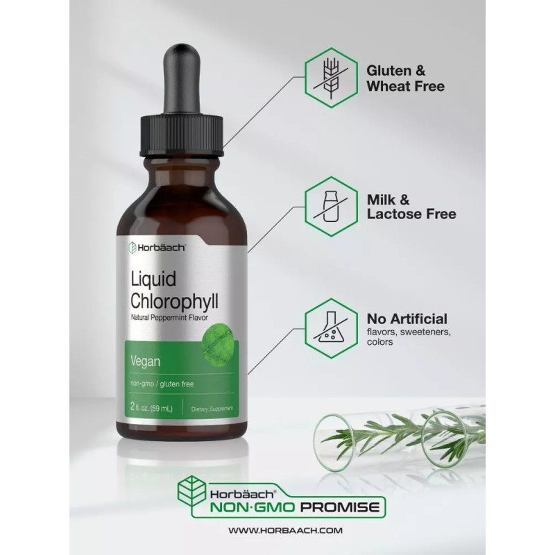Horbäach Liquid Chlorophyll | 2 fl oz | Natural Peppermint