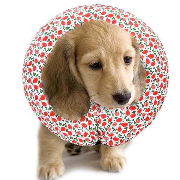 Purrrfect Life Protective Inflatable Collar for Dogs and Cats -