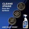 30 SECONDS Pro Mold and Mildew Stain Remover | Scrub