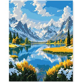 EFOTIML Paint by Number Kits for Adults, Beginners and Kids Age 8-12 Years, 1 Piece 16 x 20 Inch Canvas for Adult Painting Kits in Colorful Box (without Frame), Snow Mountains and