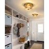 Emak Brushed Gold 2 Light Flush Mount Ceiling Light Fixture,