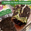 Orchid Potting Mix,1 Quart Premium Orchid Potting Mix for Repotting