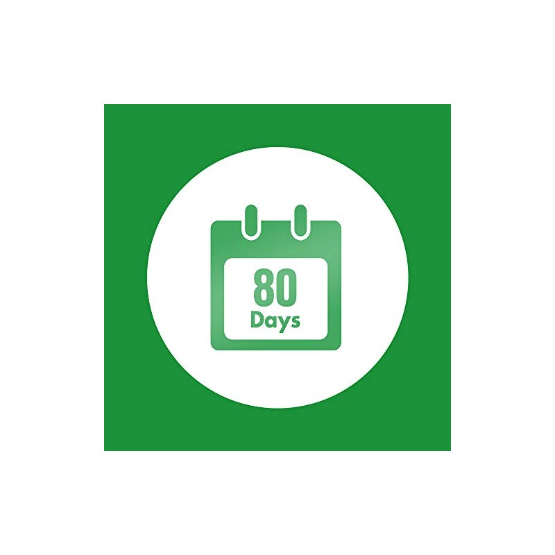 Air Wick Plug in Refill Air Freshener Winter Berries, 19ml,