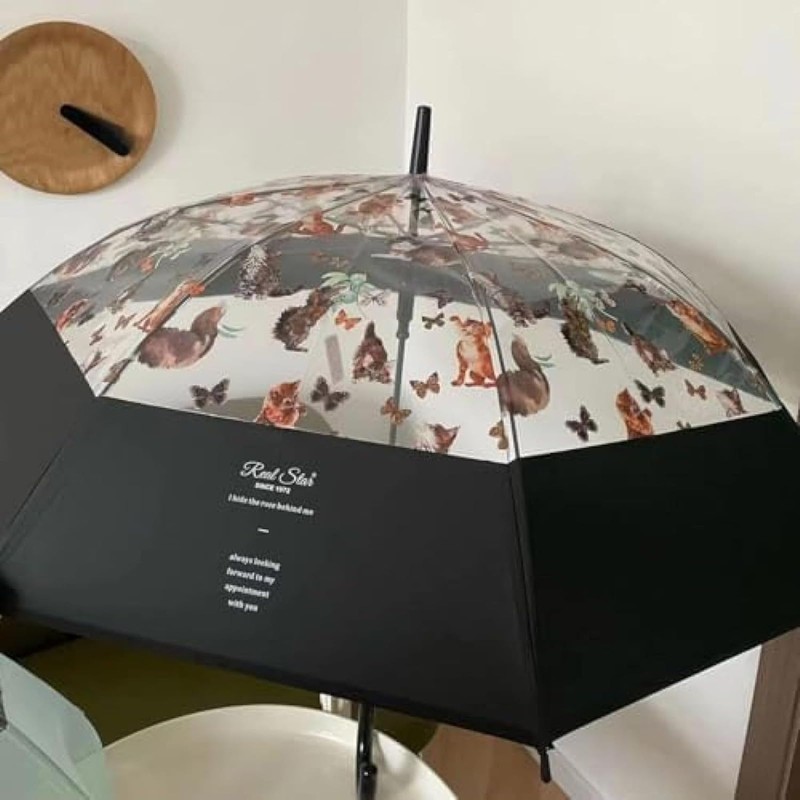 Diggly Vinyl Umbrella, Cat Pattern, Transparent Umbrella, Jumping Umbrella, Stylish,
