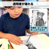 Koala Tracing Paper, A4 Sulfate Paper, Thin, 50 Sheets, Translucent