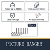 MEISO Stainless Steel Picture Hangers Super Hooks, PinCute Hercules Hooks