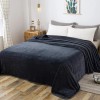 Richave Thick Heavy Winter Warm Soft Mink Queen Size Fleece