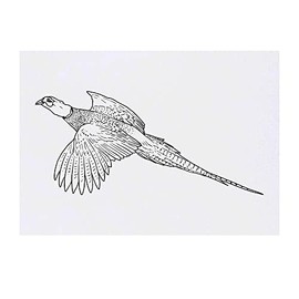 'Flying Pheasant' Temporary Tattoo - Water Resistant, Skin-Safe, Non-Toxic Transfer (TO00050140)