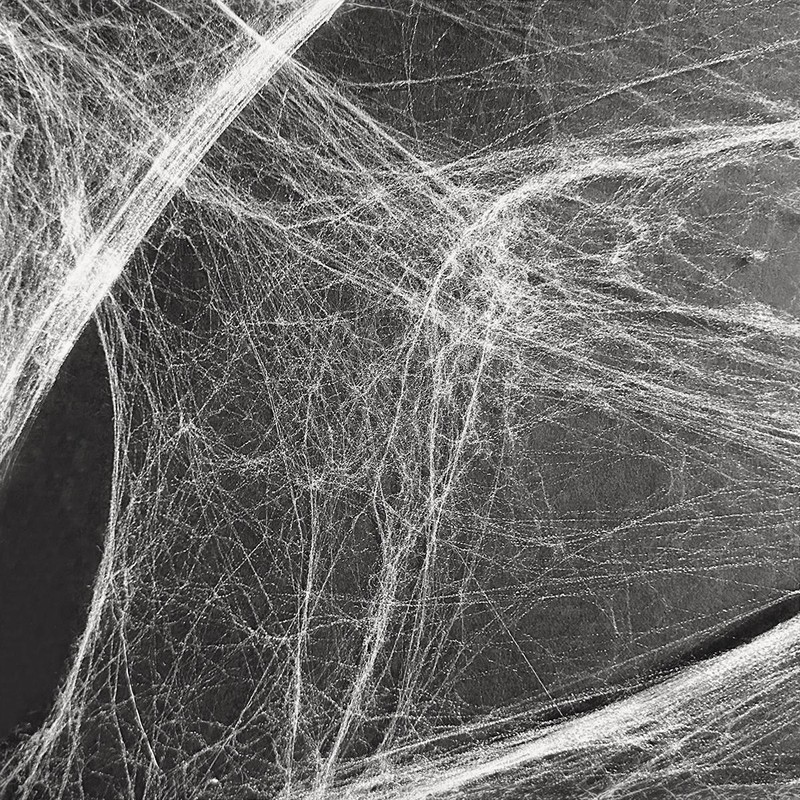 Stretchable Spider Web Halloween Decorations with Fake Spiders – Spooky