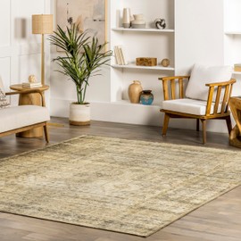 nuLOOM Chana Printed Framed Trellis Flatweave Area Rug, 5x8, Beige