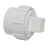 Canplas 193701AS PVC Female Cleanout Adapter with Plug, 1-1/2-Inch, White
