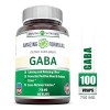 Gaba Para Reducción De Ansiedad Y Estrés 750mg 100 Caps