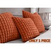 COCOPLOCEUS 1 Piece Boho Throw Pillow Cover 18x18 Decorative Rust