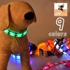Plus Nao Collar Collar Pet Goods, Dogs, Glowing Light, LED,
